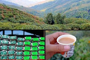 Drinking Masala chai at one of the Tea Gardens in Darjeeling