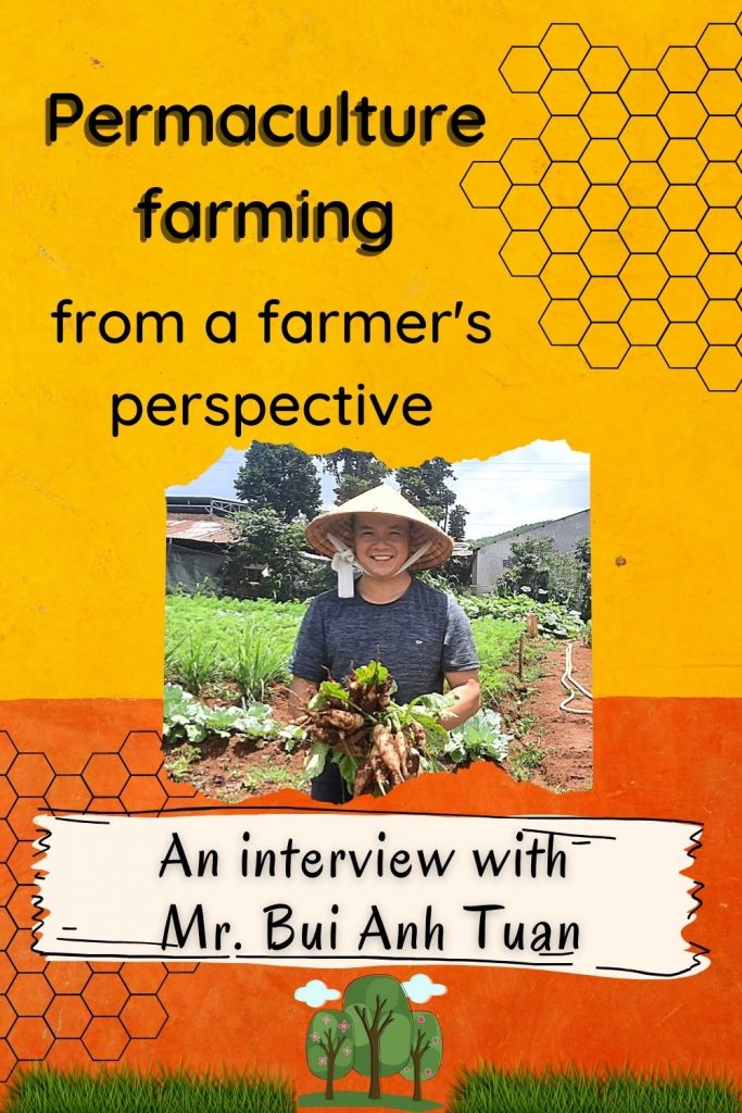 Permaculture farming from a farmer's perspective in Vietnam