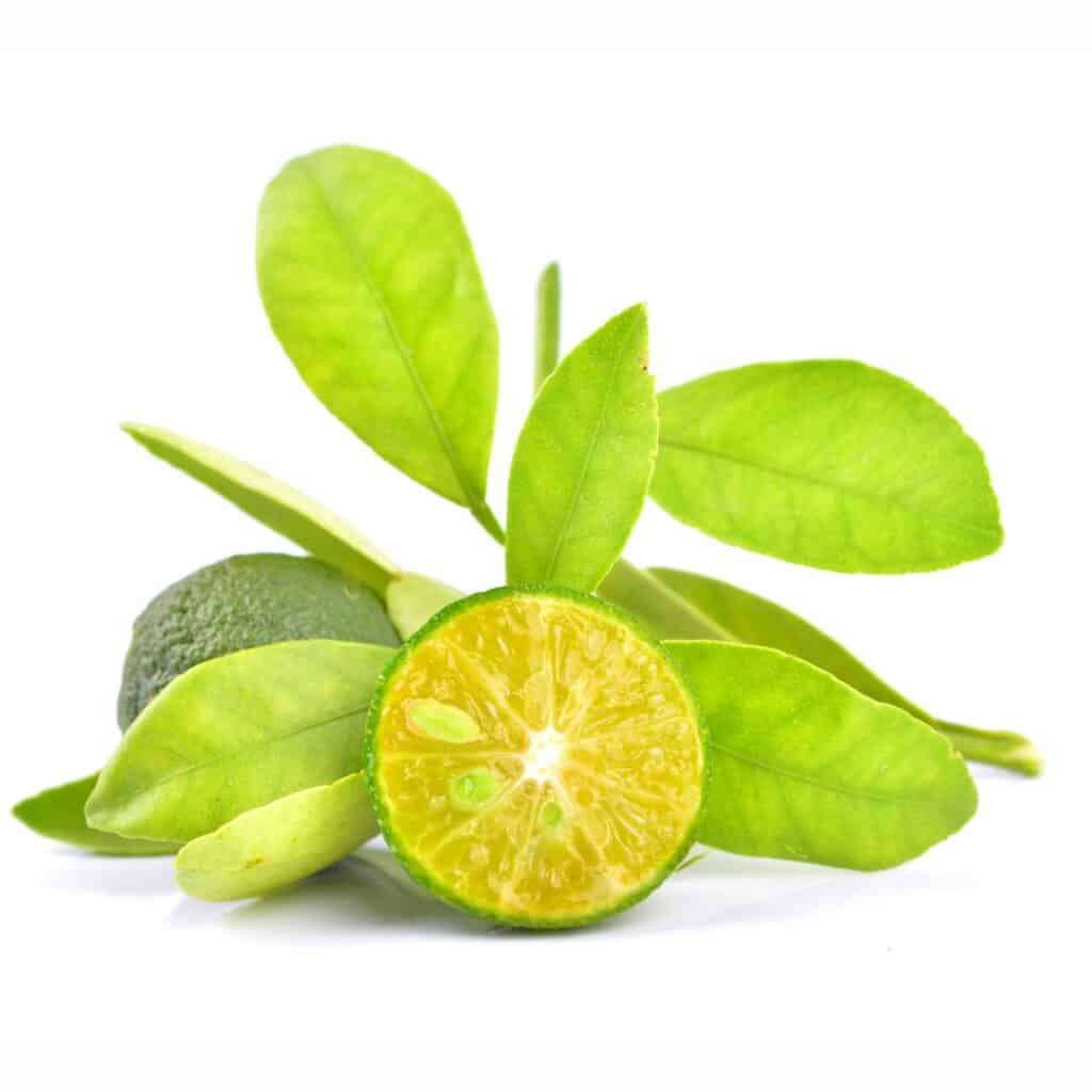 Calamansi, a citrus fruit indigenous in the Philippines used for marinade, falvor enhancer and as a condiment