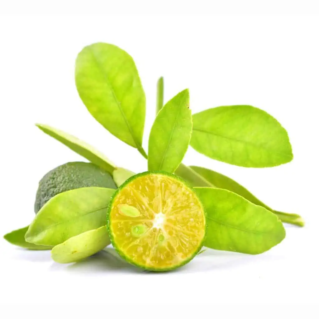 Calamansi, a citrus fruit indigenous in the Philippines used for marinade, falvor enhancer and as a condiment