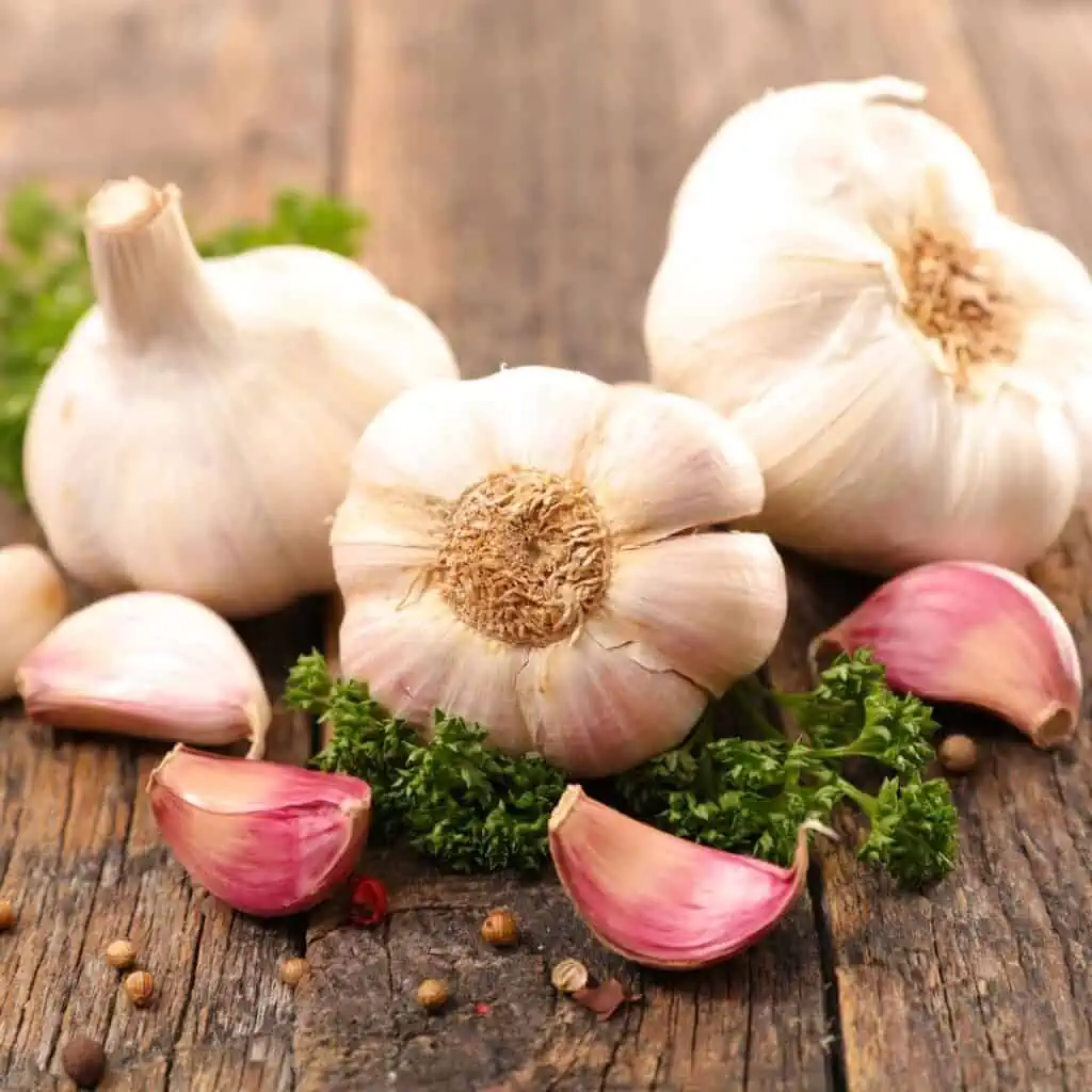 Garlic as essential spice in Philippine cuisine