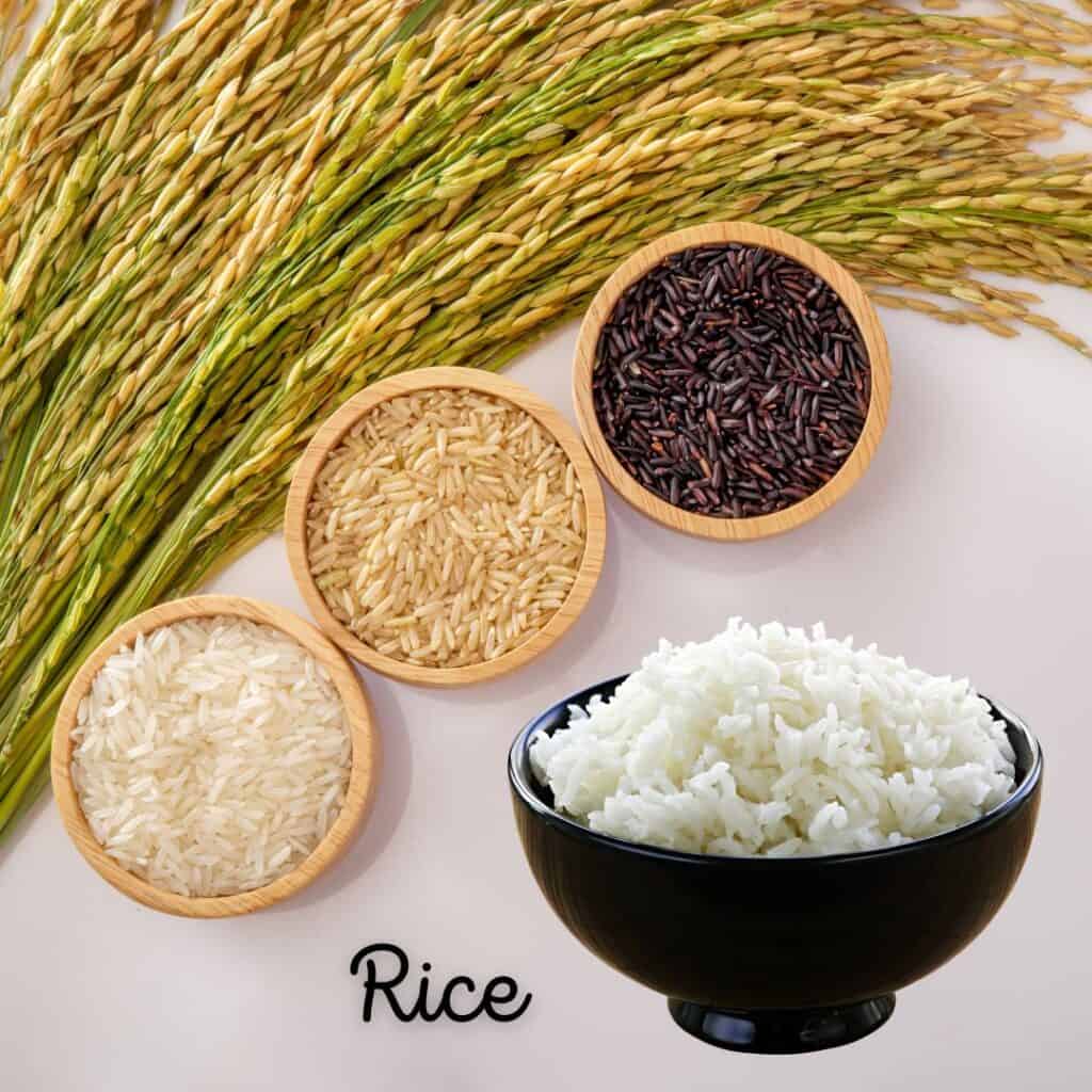 Variety of raw rice and a cooked rice used as pantry ingredients in the Philippines